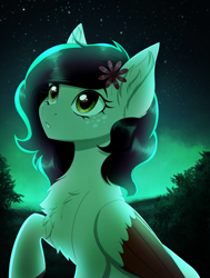 Size: 2426x3204 | Tagged: safe, artist:_ladybanshee_, artist:lady--banshee, oc, oc only, unnamed oc, species:pegasus, species:pony, g4, chest fluff, colored hooves, colored wings, cute, ear fluff, female, flower, flower in hair, freckles, hooves, mare, night, night sky, ocbetes, raised hoof, sky, solo, wings