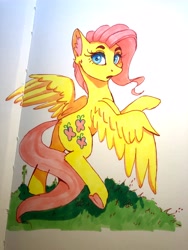 Size: 3024x4032 | Tagged: safe, artist:galinn-arts, character:fluttershy, species:pegasus, species:pony, g4, bipedal, eyebrows, female, ink drawing, looking at you, mare, open mouth, raised hoof, sketchbook, solo, spread wings, three quarter view, traditional art, underhoof, wings
