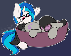 Size: 614x480 | Tagged: safe, artist:llametsul, character:dj pon-3, character:octavia melody, character:vinyl scratch, species:earth pony, species:pony, species:unicorn, g4, accessory theft, angry, annoyed, basket, behaving like a cat, cute, cutie mark, duo, ear fluff, eyes closed, female, glasses, horn, madorable, mare, scrunchy face, signature, simple background, sleeping, underhoof, upset, vinyl's glasses