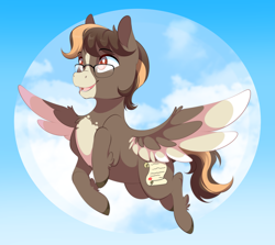 Size: 3045x2722 | Tagged: safe, artist:skyvixie, manebooru original, oc, oc only, oc:love letter (masque), species:pegasus, species:pony, g4, chest fluff, commission result, flying, glasses, sky, solo