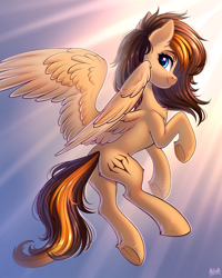 Size: 2200x2750 | Tagged: safe, artist:hakaina, oc, oc only, oc:aerion featherquill, species:pegasus, species:pony, g4, chest fluff, commission, crepuscular rays, female, flying, looking back, mare, profile, signature, solo, spread wings, underhoof, wing fluff, wings, ych result