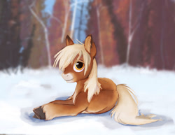 Size: 1500x1158 | Tagged: safe, artist:anonymous, oc, oc only, oc:sleighride, species:pony, g4, coat markings, colored hooves, hooves, looking at you, lying down, male, snow, socks (coat marking), solo, stallion, unshorn fetlocks, yakutian horse
