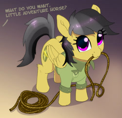 Size: 1972x1904 | Tagged: safe, artist:xbi, character:daring do, species:pegasus, species:pony, g4, 30 minute art challenge finished after, clothing, cute, daring dorable, dialogue, eye clipping through hair, female, gradient background, holding, looking at you, looking up, looking up at you, mare, mouth hold, offscreen character, rope, shirt, solo, what do you want