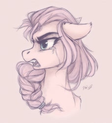Size: 1093x1200 | Tagged: safe, artist:vird-gi, character:sunny starscout, species:earth pony, species:pony, g5, my little pony: a new generation, angry, braid, bust, crying, eyebrows, female, floppy ears, mare, open mouth, portrait, profile, signature, simple background, solo, traditional art