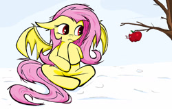 Size: 1280x816 | Tagged: safe, artist:sallycars, character:fluttershy, species:bat pony, g4, apple, floppy ears, sitting, snow, solo