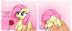 Size: 4096x1788 | Tagged: safe, artist:nookprint, character:fluttershy, species:pegasus, species:pony, g4, comic, flower, nom, offscreen character, panel, simple background, solo, talking to viewer, text, valentine's day