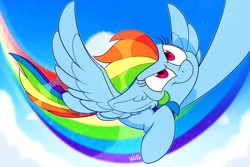 Size: 3232x2160 | Tagged: safe, artist:wutanimations, character:rainbow dash, species:pegasus, species:pony, g4, determined, flying, ponyday, rainbow dash day, rainbow trail, sky, solo, spread wings, wings