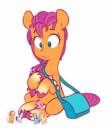 Size: 3035x3694 | Tagged: safe, artist:chub-wub, character:sunny starscout, species:earth pony, species:pony, g5, bag, coat markings, doll, simple background, sitting, socks (coat marking), solo, sunnybetes, toy, unshorn fetlocks, white background