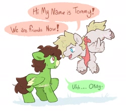 Size: 1990x1750 | Tagged: safe, artist:donkeymutt, species:pegasus, species:pony, g4, blank flank, colt, crossover, dream smp, duo, foal, male, mcyt, minecraft, neckerchief, tommyinnit, tommyinnit (dream smp), tubbo, tubbo (dream smp), young, youtube