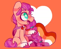 Size: 2000x1590 | Tagged: safe, artist:cocopudu, character:sunny starscout, species:earth pony, species:pony, g5, braid, cape, clothing, coat markings, lesbian pride flag, pride flag, pride flag cape, sitting, socks (coat marking), solo, sunnybetes, unshorn fetlocks