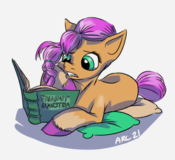 Size: 2528x2320 | Tagged: safe, artist:lytlethelemur, character:sunny starscout, species:earth pony, species:pony, fallout equestria, g5, book, braid, coat markings, cushion, lying down, reading, socks (coat marking), solo, unshorn fetlocks