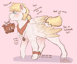 Size: 2335x1953 | Tagged: safe, artist:daikiicub, species:pegasus, species:pony, g4, armband, blank flank, colt, crossover, dream smp, male, mcyt, minecraft, neckerchief, necklace, ponified, reference sheet, scar, solo, stallion, teenager, tommyinnit, tommyinnit (dream smp), young, youtube