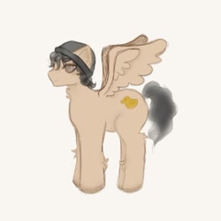 Size: 590x591 | Tagged: safe, artist:valoughnut, species:pegasus, species:pony, g4, beanie, clothing, crossover, hat, male, mcyt, minecraft, ponified, quackity, simple background, solo, stallion, youtube
