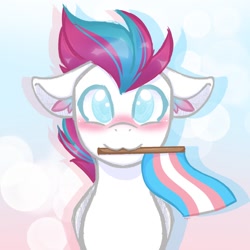 Size: 1200x1200 | Tagged: safe, artist:balychenv, character:zipp storm, species:pegasus, species:pony, g5, blushing, bust, cute, ear fluff, holding, mouth hold, solo, transgender pride flag