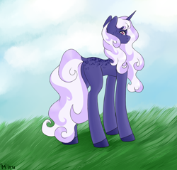 Size: 2300x2200 | Tagged: safe, artist:miru yosimura, manebooru original, oc, oc only, oc:gloaming sheen, species:pony, species:unicorn, g4, cloud, cloudy, curls, female, freckles, grass, looking at you, mare, over the shoulder