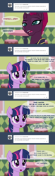 Size: 1272x4081 | Tagged: safe, artist:temp, character:tempest shadow, character:twilight sparkle, character:twilight sparkle (alicorn), species:alicorn, species:pony, species:unicorn, tumblr:tempest-light, g4, ask, broken horn, comic, horn, tumblr, tumblr comic