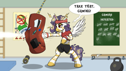 Size: 3177x1788 | Tagged: safe, artist:cocaine, oc, oc:princess coke, species:alicorn, species:pony, species:zebra, g4, alicorn oc, bipedal, boxing, clothing, dialogue, gaming, gym, gym shorts, horn, indoors, non-pony oc, punch, speech bubble, sports, text, training, video game, wings, zebra oc