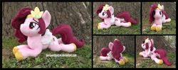 Size: 1200x473 | Tagged: safe, artist:peruserofpieces, character:pipp petals, species:pegasus, species:pony, g5, circlet, collage, lying down, photo, pipp wings, plushie, solo, toy, unshorn fetlocks