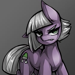 Size: 1200x1200 | Tagged: safe, artist:kyouman1010, character:limestone pie, species:earth pony, species:pony, g4, angry, gray background, simple background