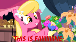 Size: 1300x730 | Tagged: safe, edit, edited screencap, editor:roseluck, screencap, character:lily, character:lily valley, species:earth pony, species:pony, episode:it isn't the mane thing about you, g4, my little pony: friendship is magic, bouquet, contemplating insanity, female, flower, flower in hair, grin, lily (flower), mare, market, meme, nervous, nervous grin, ponyville market, raised hoof, reaction image, rose, smiling, solo, tent, text, this is fine, wallpaper