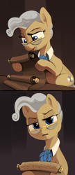 Size: 2500x5770 | Tagged: safe, artist:dimfann, character:mayor mare, species:earth pony, species:pony, g4, confused, copypasta, female, frown, glasses, high res, hoof hold, implied trixie, lidded eyes, looking at you, mare, meme, navy seal copypasta, ponified, ponified meme, raised eyebrow, reaction, reaction image, reading, scroll, solo, vulgar, what the fuck am i reading