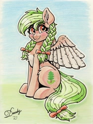 Size: 2680x3568 | Tagged: safe, artist:dandy, oc, oc only, oc:sylvia evergreen, species:pegasus, species:pony, g4, bow, braid, colored pencil drawing, cute, cutie mark, female, looking at you, mare, ocbetes, pigtails, smiling, solo, spread wings, tail, traditional art, twintails, wings