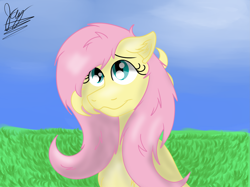 Size: 2743x2057 | Tagged: safe, artist:jay_wackal, character:fluttershy, species:pegasus, species:pony, g4, solo
