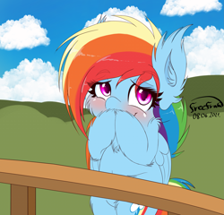 Size: 3649x3499 | Tagged: safe, artist:freefraq, character:rainbow dash, species:pegasus, species:pony, g4, bipedal, blushing, cheek fluff, chest fluff, cloud, cute, dashabetes, ear fluff, female, fence, fluffy, happy, looking at you, mare, signature, simple background, smiling, solo, weapons-grade cute
