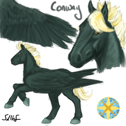 Size: 600x600 | Tagged: safe, artist:sdlhf, oc, oc:conway, parent:dumbbell, parent:lightning dust, parents:lightningbell, species:pegasus, species:pony, g4, bio in description, hoers, male, offspring, realistic, reference sheet, simple background, solo, stallion, white background