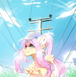 Size: 988x1000 | Tagged: safe, artist:grach_449, character:fluttershy, species:pegasus, species:pony, g4, chest fluff, clothing, hat, ponytail, power line