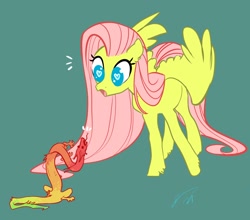 Size: 2104x1850 | Tagged: safe, artist:opalacorn, character:fluttershy, species:pegasus, species:pony, g4, amazed, duo, emanata, female, forked tongue, heart eyes, looking at each other, looking at someone, looking down, mare, meeting, no pupils, open mouth, simple background, size difference, spread wings, standing, teal background, three quarter view, unshorn fetlocks, wingding eyes, wings