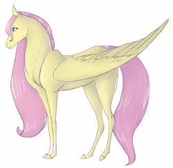 Size: 2048x1990 | Tagged: safe, artist:mapleicious, artist:mapleiciousmlp, character:fluttershy, species:pegasus, species:pony, g4, akhal teke, coat markings, female, folded wings, hoers, horse, profile, simple background, socks (coat marking), solo, white background, wings