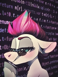 Size: 1080x1437 | Tagged: safe, artist:wacky-skiff, character:zipp storm, species:pegasus, species:pony, g5, code, female, floppy ears, glasses, javascript, looking at you, mare, solo, unshorn fetlocks