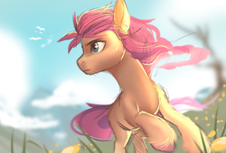 Size: 4000x2712 | Tagged: safe, artist:nettlemoth, character:sunny starscout, species:earth pony, species:pony, g5, cloud, female, grass, high res, mare, profile, raised hoof, sky, solo, unshorn fetlocks, wip