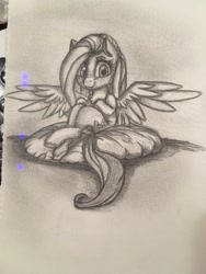 Size: 768x1024 | Tagged: safe, artist:miokomata, character:fluttershy, species:pegasus, species:pony, g4, cute, female, freckles, freckleshy, grayscale, looking at you, mare, monochrome, pencil drawing, photo, pillow, shyabetes, sitting, solo, spread wings, traditional art, unshorn fetlocks, wings