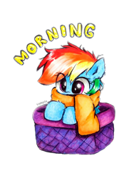 Size: 952x1269 | Tagged: safe, artist:liaaqila, character:rainbow dash, species:pegasus, species:pony, g4, clothing, cute, dashabetes, female, filly, filly rainbow dash, good morning, liaaqila is trying to murder us, liaaqila is trying to murder us with dashabetes, morning ponies, scarf, simple background, solo, transparent background, young, younger