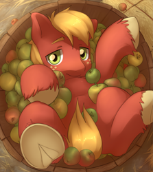 Size: 3589x4015 | Tagged: safe, artist:aquoquoo, character:big mcintosh, species:earth pony, species:pony, g4, apple, apple family member, bucket, cute, eyebrows, food, freckles, frog (hoof), high res, hooves, looking at you, macabetes, male, overhead view, solo, stallion, underhoof, unshorn fetlocks