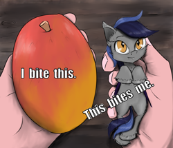 Size: 1500x1292 | Tagged: safe, artist:chopsticks, oc, oc only, oc:echo, species:bat pony, species:human, species:pony, g4, cheek fluff, cute, ear fluff, eyebrows, eyebrows visible through hair, fangs, female, food, fruit, hand, hooves, hooves to the chest, in goliath's palm, mango, mare, ponified animal photo, sharp teeth, smiling, solo, text, that batpony sure does love mangoes, tiny, tiny ponies, unshorn fetlocks