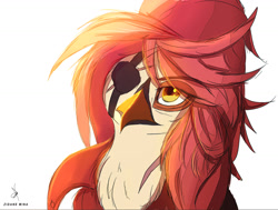 Size: 1431x1080 | Tagged: safe, artist:zidanemina, oc, oc only, oc:aesterophe bismarck, species:anthro, species:parrot, g4, colored, colored sketch, explicit source, eyepatch, looking up, scar, simple background, sketch, solo, white background