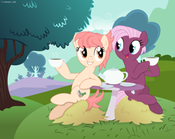 Size: 9609x7611 | Tagged: safe, artist:thatusualguy06, base used, character:jasmine leaf, character:raspberry vinaigrette, species:earth pony, species:pony, g4, absurd resolution, cup, cute, digital art, drink, duo, female, food, hay, hoof hold, looking at each other, mare, missing accessory, mushroom table, open mouth, open smile, show accurate, sitting, smiling, tea, teacup, teapot, tree, vector