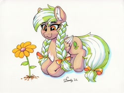 Size: 3581x2682 | Tagged: safe, artist:dandy, oc, oc only, oc:sylvia evergreen, species:pegasus, species:pony, blushing, braided pigtails, cute, cutie mark, ear fluff, female, flower, folded wings, freckles, mare, marker drawing, ocbetes, ribbon, simple background, sitting, smiling, solo, traditional art, wings