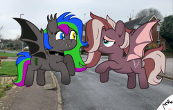 Size: 4401x2801 | Tagged: safe, artist:s-class-destroyer, oc, oc:efflorescence, oc:thornleigh, species:bat pony, species:pony, collar, digital art, ear fluff, eyeshadow, fangs, flying, house, houses, irl, lamppost, looking at each other, makeup, pavement, photography, ponies in real life, road, shading, sharp teeth, signature, smiling, street, vector