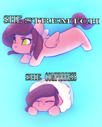 Size: 1728x2160 | Tagged: safe, artist:rainsketch, character:pipp petals, species:pegasus, species:pony, g5, my little pony: a new generation, adorapipp, blanket, blanket burrito, blushing, cute, eyes closed, female, long pipp petals, long pony, lying down, mare, meme, no pupils, pipp is small, pipp wings, prone, solo, text, three quarter view