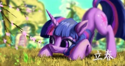 Size: 4096x2160 | Tagged: safe, artist:tinybenz, part of a set, character:twilight sparkle, character:twilight sparkle (unicorn), species:pony, species:unicorn, g4, cherry blossoms, chinese, crouching, cute, face down ass up, female, flower, flower blossom, grass, high res, looking at something, mare, ponyville, smiling, solar term, solo, spring, three quarter view, twiabetes