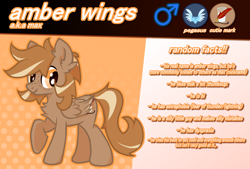 Size: 4036x2724 | Tagged: safe, artist:foxtrnal, oc, oc only, oc:amber wings, oc:max, species:pegasus, species:pony, g4, abstract background, astraphobia, cutie mark, dyspraxia, fluffy, freckles, male, pegasopolis, pegasus oc, reddit, reference sheet, solo, stallion, three quarter view