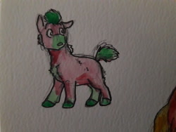 Size: 1280x960 | Tagged: safe, artist:pasu-chan, character:spike, species:earth pony, species:pony, series:noodleverse, g4, alternate universe, painting, ponified, species swap, traditional art, watercolor painting