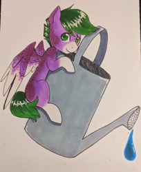 Size: 1280x1570 | Tagged: safe, artist:pocketdoesart, oc, oc:fox glove, species:pegasus, species:pony, series:who we become, colt, male, solo, water, watering can