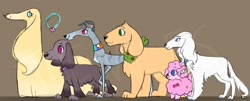 Size: 1240x499 | Tagged: safe, artist:justthemiles, character:applejack, character:fluttershy, character:pinkie pie, character:rainbow dash, character:rarity, character:twilight sparkle, species:dog, g4, afghan hound, appledog, brown background, cocker spaniel, dogified, female, flutterdog, greyhound, irish setter, labrador, mane six, no pupils, poodle, profile, puppy pie, rainbow dog, raridog, raripoodle, simple background, species swap, twilight barkle, watermark