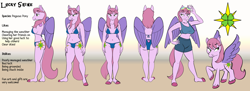 Size: 5000x1818 | Tagged: safe, artist:arrjaysketch, oc, oc only, oc:lucky shine, species:anthro, species:pegasus, species:pony, bikini, bipedal, breasts, clothing, female, quadrupedal, reference sheet, shorts, solo, solo female, swimsuit, tank top