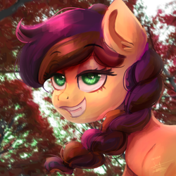 Size: 2500x2500 | Tagged: safe, artist:scarlett-letter, oc, oc only, oc:aurora (stardust), species:earth pony, species:pony, braid, earth pony oc, eye clipping through hair, eyebrows, eyebrows visible through hair, female, looking at you, mare, signature, smiling, smiling at you, smug, solo, three quarter view